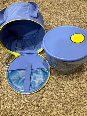 Tupperware Insulated Lunch Bag and Container